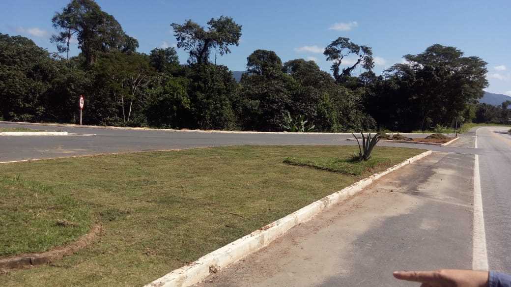 Camacã: Serviço de Jardinagem está sendo realizado no trevo